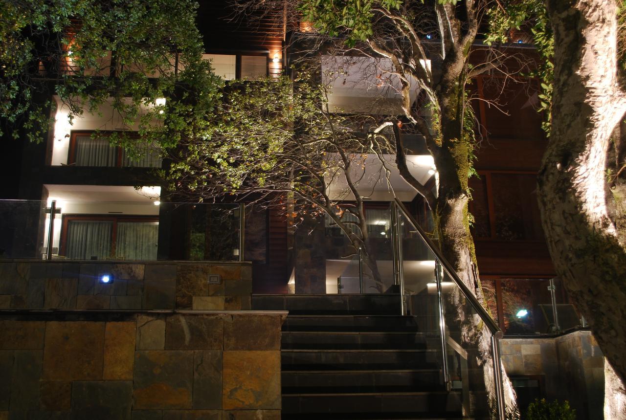Hotel Playa Grande Suites Pucón Eksteriør billede